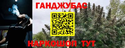 индика Будённовск