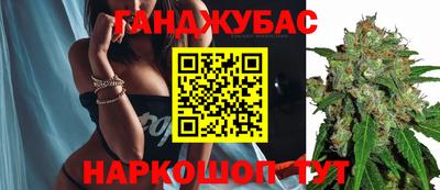 индика Будённовск