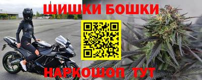 индика Будённовск