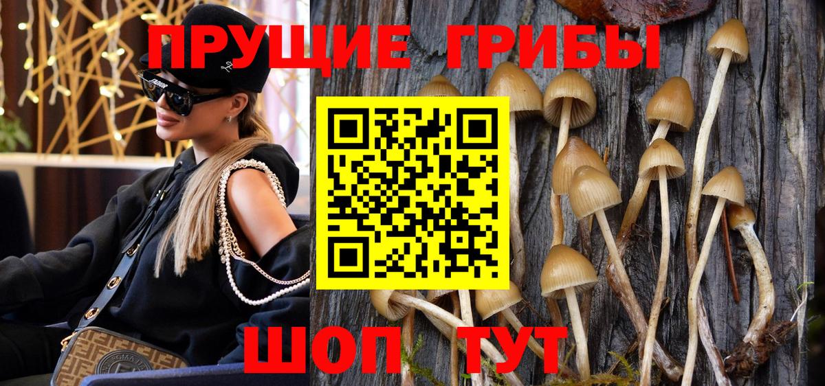 Салават  Псилоцибиновые грибы ЛСД  Вход с VPN 